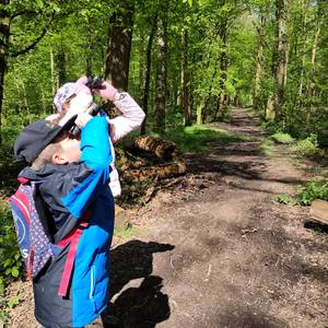 Photo de Vivre des ateliers de découverte de la Nature à la Maison Forestière