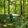  Activité éducative Vivre des ateliers de découverte de la Nature à la Maison Forestière (Hauts-de-France, Nord)