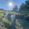  Activité éducative Ferme caprine pour tous  ( pédagogique et sociale) (Occitanie, Aude)