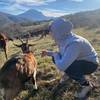  Activité éducative Ferme caprine pour tous  ( pédagogique et sociale) (Occitanie, Aude)