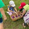  Activité éducative Activités pédagogiques (Pays de la Loire, Maine-et-Loire)