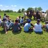  Activité éducative Activités pédagogiques (Pays de la Loire, Maine-et-Loire)