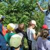  Activité éducative Activités pédagogiques (Pays de la Loire, Maine-et-Loire)