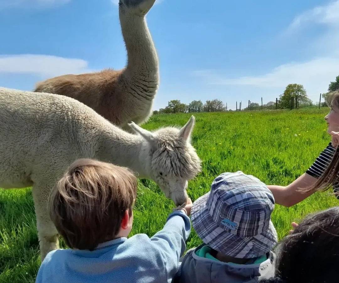  Activité Pays de la Loire Maine-et-Loire Activités pédagogiques