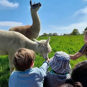 Photo de Activités pédagogiques