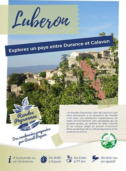 Rando paysanne en Luberon - Activity Provence-Alpes-Côte d’Azur Vaucluse Country walks in the Luberon