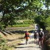 Sur les chemins du Nord Luberon, Bonnieux -  Event - Territory discovery Randonnées Paysannes en Luberon (Provence-Alpes-Côte d’Azur, Vaucluse)