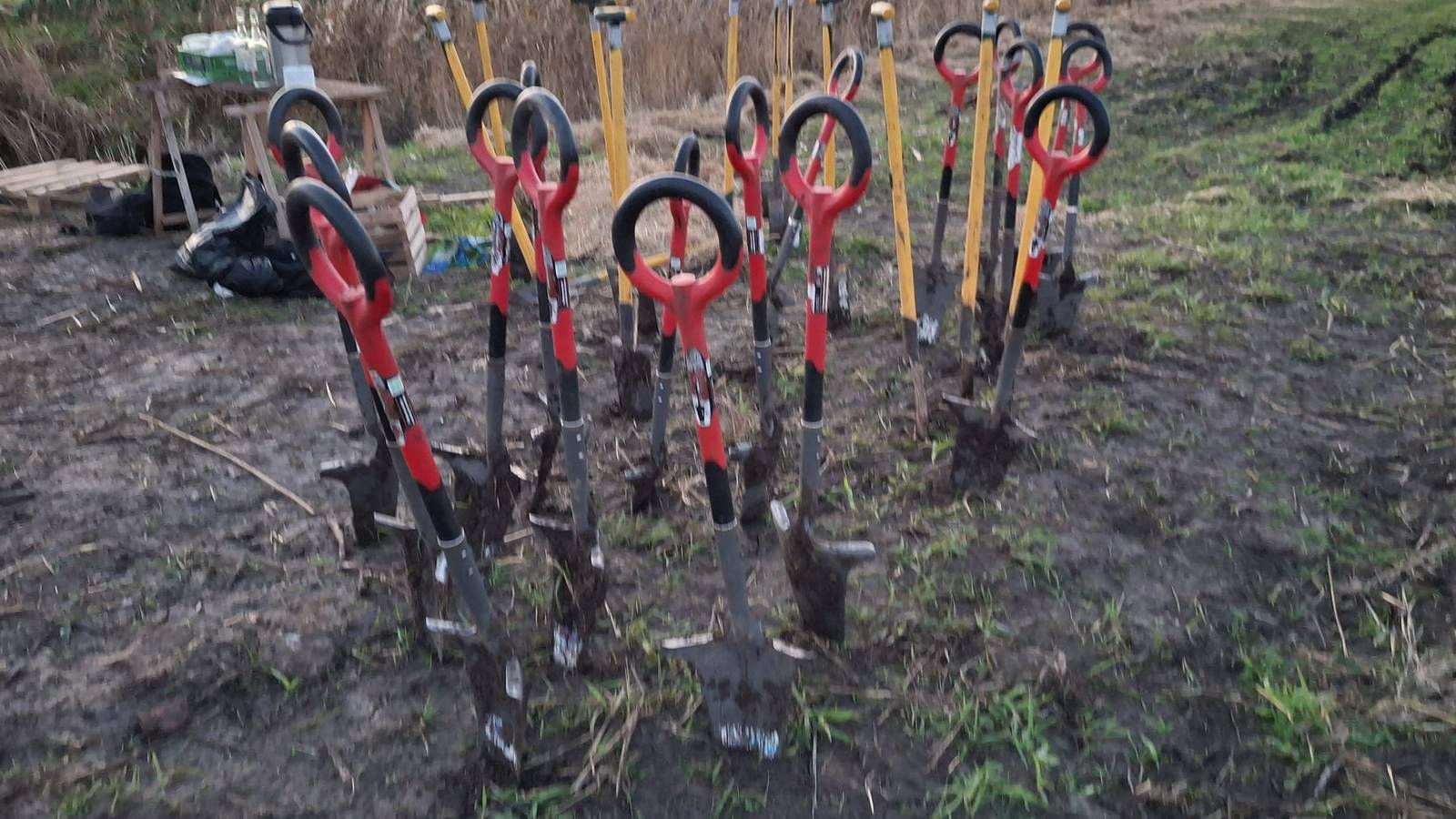  Activité Hauts-de-France Nord Reboisement