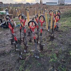 Photo de Reboisement