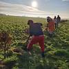 Événement - Chantiers participatifs Reboisement (Hauts-de-France, Nord)