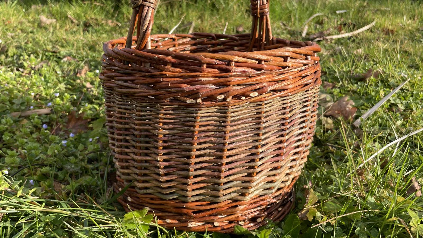 Panier rond - Activity Auvergne-Rhône-Alpes Rhône Basketry workshop