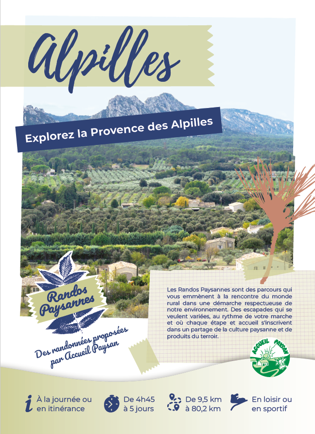 Activité Provence-Alpes-Côte d’Azur Bouches-du-Rhône Randonnée Paysanne dans les Alpilles