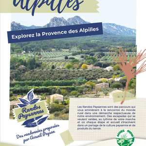 Photo de Randonnée Paysanne dans les Alpilles