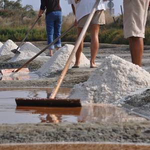 Photo de Gaec la salorge de la Vertonne