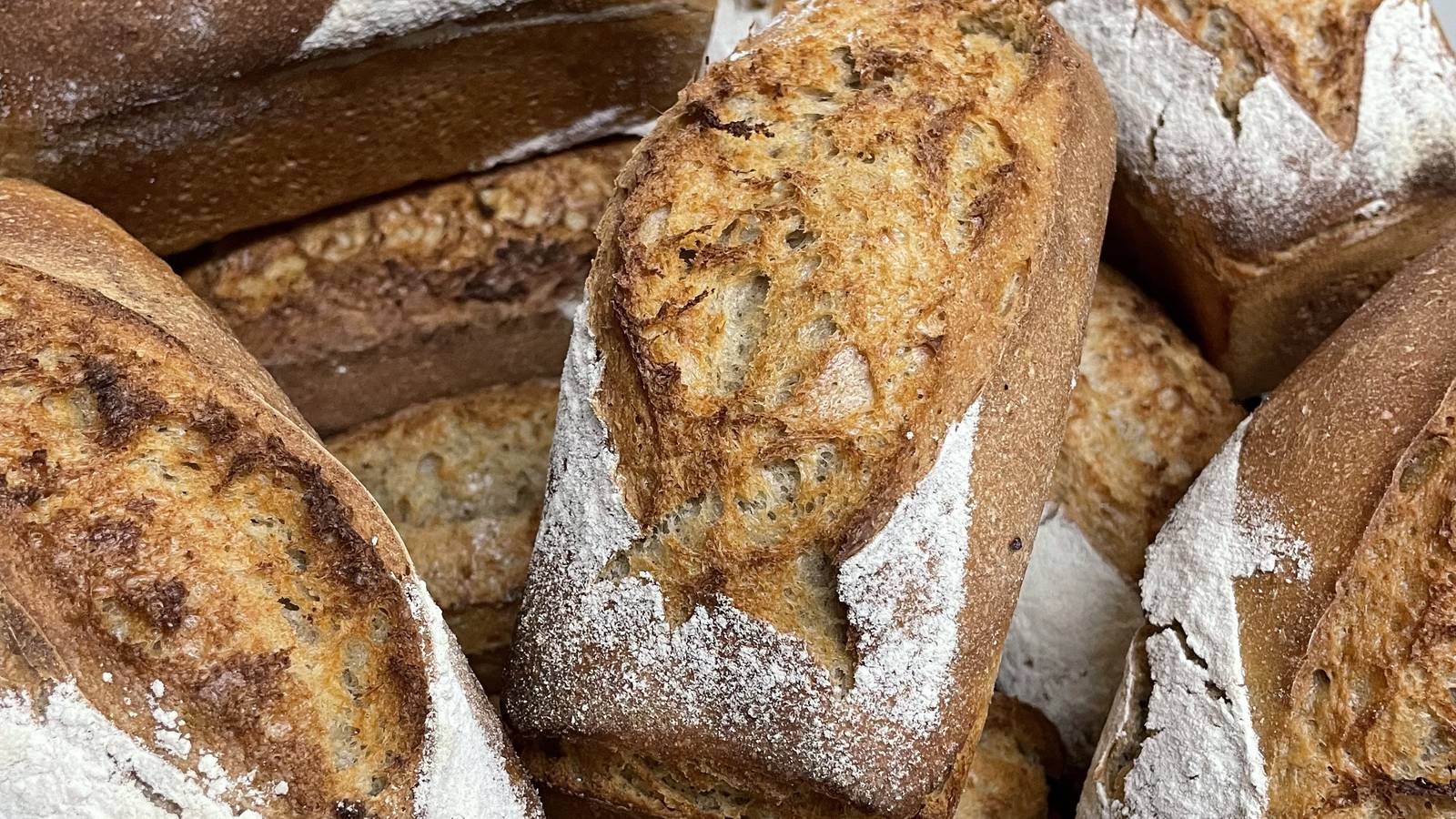 pain moulé nature - Activity Auvergne-Rhône-Alpes Haute-Loire Direct farm sales