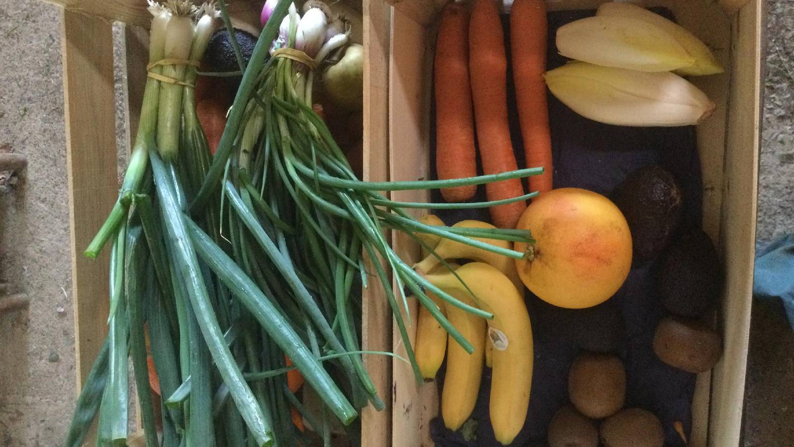 Activité Pays de la Loire Loire-Atlantique Les produits de la coccinelle