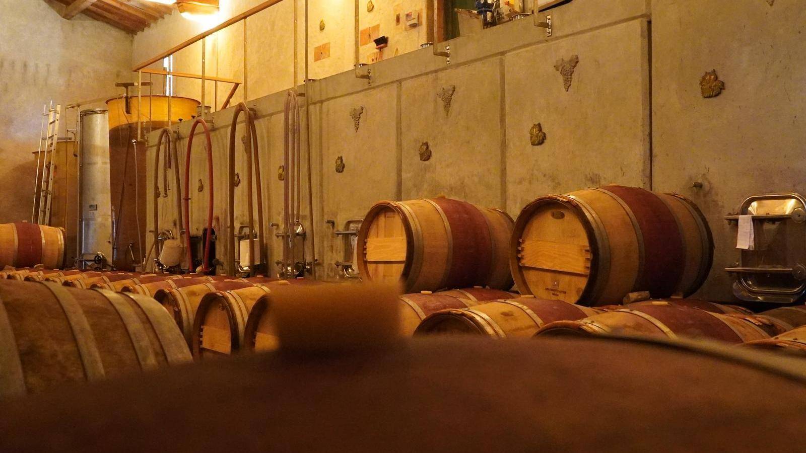  Activité Occitanie Aude Dégustation & vente de vin et vinaigre.