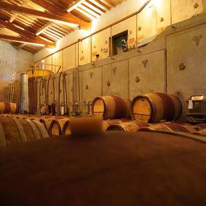 Photo de Dégustation & vente de vin et vinaigre.