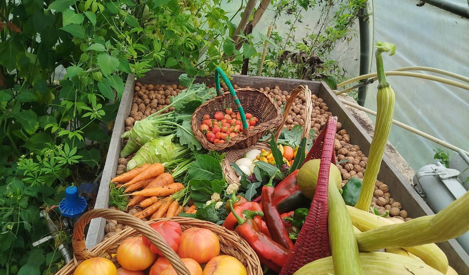  Activité Hauts-de-France Nord L'ile de Bambecque