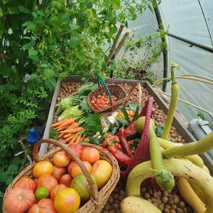 Photo de L'ile de Bambecque