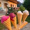 Délicieux sorbets de plein fruits, fruits du jardin et plantes sauvages de la prairie, sucre naturel bio -  Produit Paysan Le Jardin de Max et Nana, "La biodiversité a du goût" ! (Auvergne-Rhône-Alpes, Savoie)