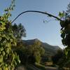 Que la montagne est belle -  Produit Paysan Le Jardin de Max et Nana, "La biodiversité a du goût" ! (Auvergne-Rhône-Alpes, Savoie)