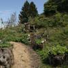 Production naturelle, au rythme des saisons -  Produit Paysan Le Jardin de Max et Nana, "La biodiversité a du goût" ! (Auvergne-Rhône-Alpes, Savoie)