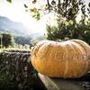 Savoir aimer... -  Produit Paysan Le Jardin de Max et Nana, "La biodiversité a du goût" ! (Auvergne-Rhône-Alpes, Savoie)