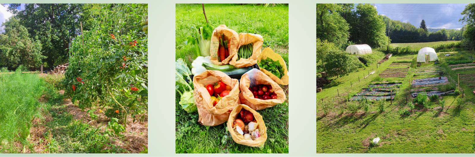  Activity Auvergne-Rhône-Alpes Haute-Savoie 🌱 Seasonal vegetable baskets - agroecological micro-farm