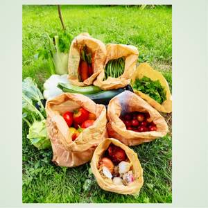 Photo of 🌱 Seasonal vegetable baskets - agroecological micro-farm