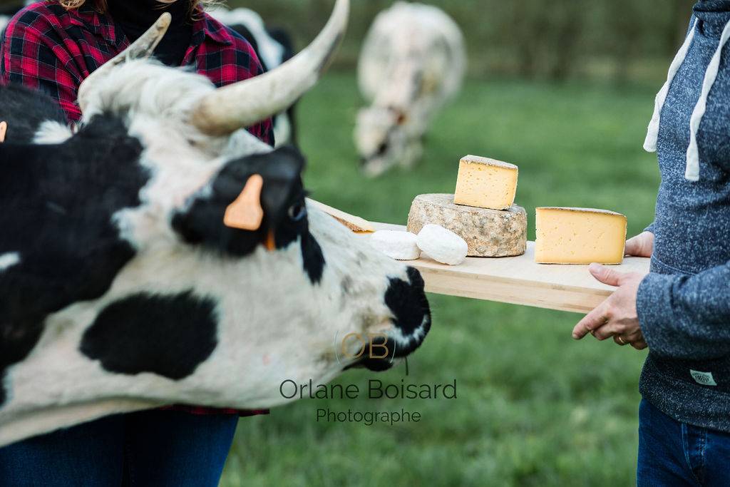  Activity Pays de la Loire Loire-Atlantique LA FERME DE GRAND LIEU