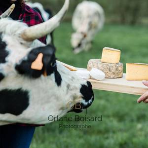 Photo of LA FERME DE GRAND LIEU