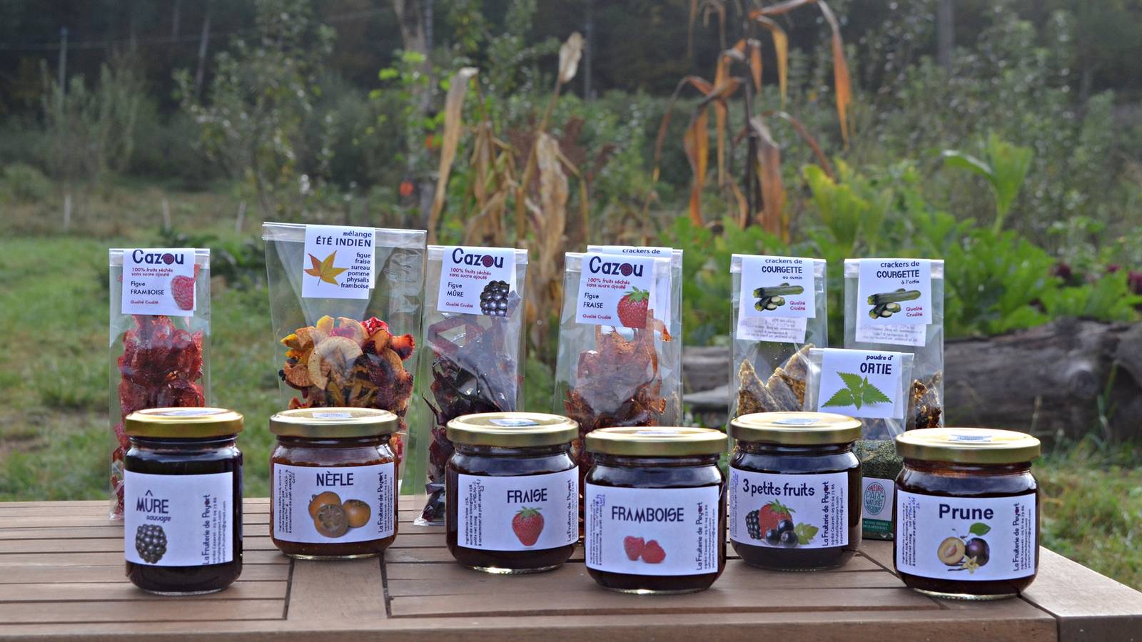  Activité Occitanie Ariège Vente de fruits séchés, cuirs de fruits et chips de légumes