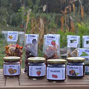 Photo de Vente de fruits séchés, cuirs de fruits et chips de légumes
