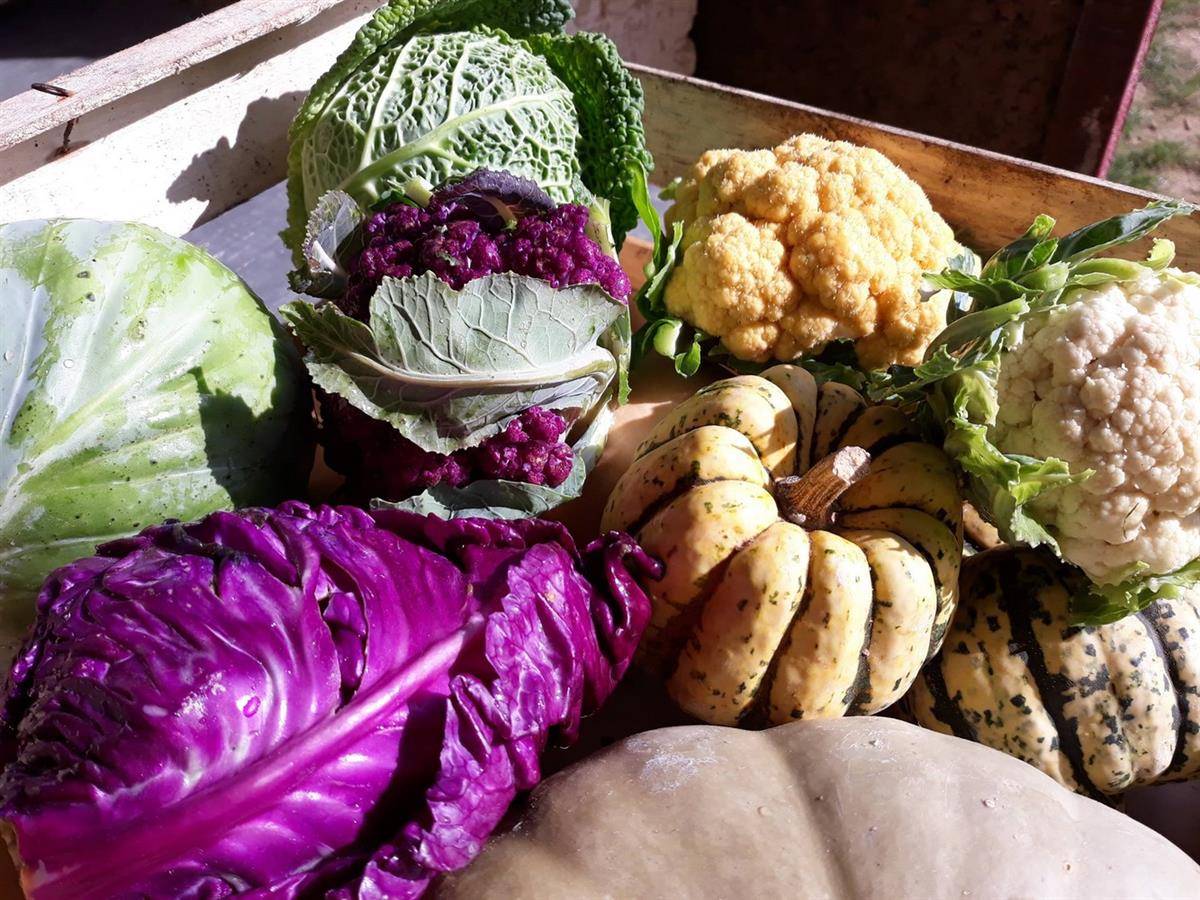  Activité Nouvelle-Aquitaine Lot-et-Garonne produits paysans