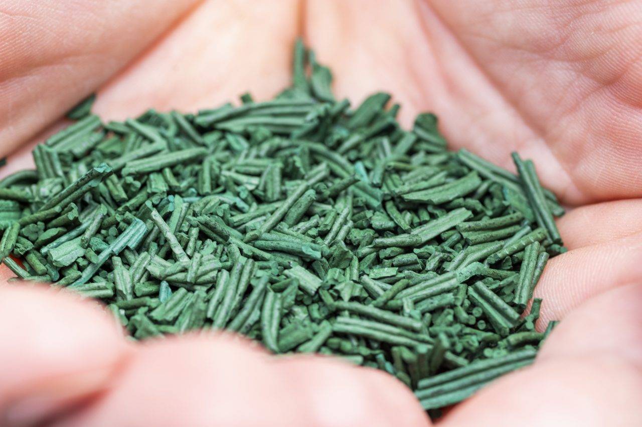  Activité Pays de la Loire Loire-Atlantique spiruline