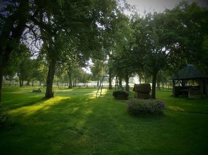 le terrain avec la lumière du matin