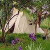  Hébergement insolite Le Tipi du Jardin des Bises (Auvergne-Rhône-Alpes, Isère)