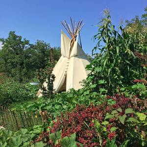 Photo of Tipi at Jardin des Bises