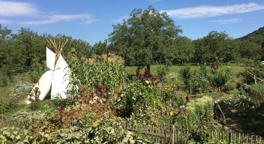 au milieu de nos cultures ...