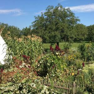 Photo de Tipi au Jardin des Bises