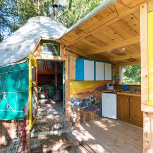 Photo de Yourte kirghize dans la forêt