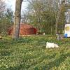 Au printemps -  Hébergement insolite Yourte  Camping paysan de la Gilberdière (Normandie, Orne)