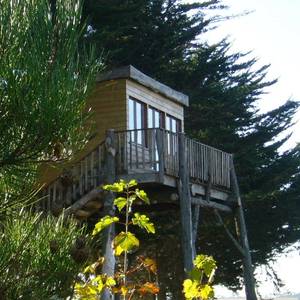 Photo de Cabane dans les arbres avec vue sur mer