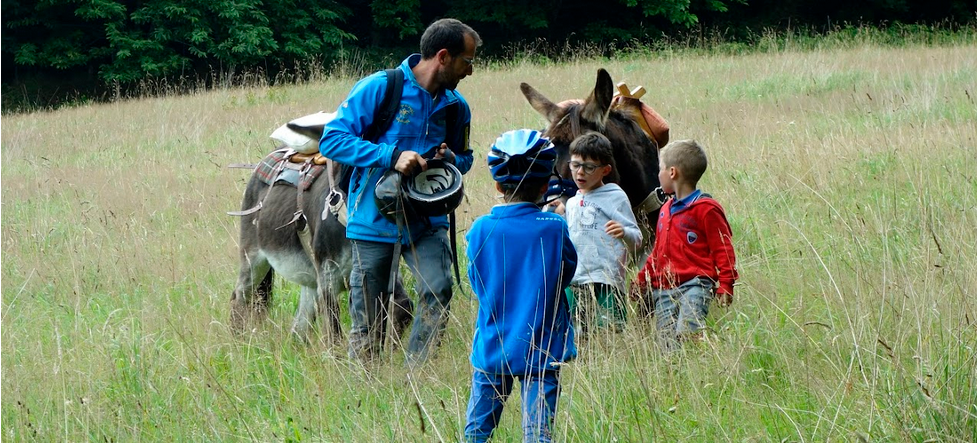 randonnée avec les ânes - Hébergement touristique Bretagne Ille-et-Vilaine Camping Entre pierres et collines