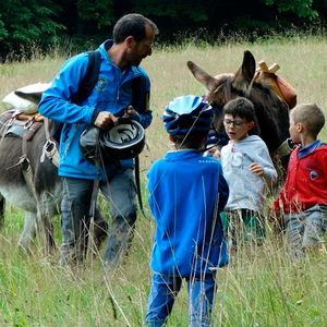 Photo de Camping Entre pierres et collines