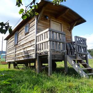 Photo de Roulotte Prunes sauvages