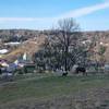 Vue sur le village des Bouchoux depuis la ferme -  Unusual accommodation Contemporary Yurt (Bourgogne-Franche-Comté, Jura)