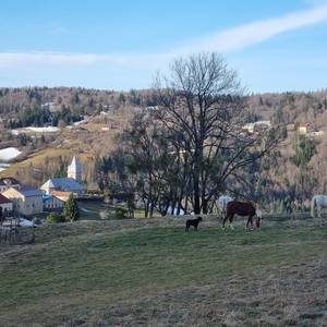 Photo of Contemporary Yurt