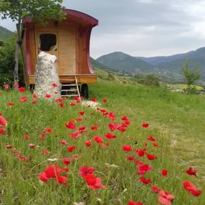 Photo de Gîte la roulotte du bachas